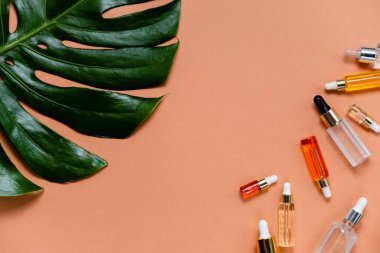 Doğal serumlar ve yüz yağları. Cam bir şişede pipetli kozmetik hidratasyon serumu. Soyut arkaplan üzerinde Hyaluronic asit üst yatay telif uzayı.