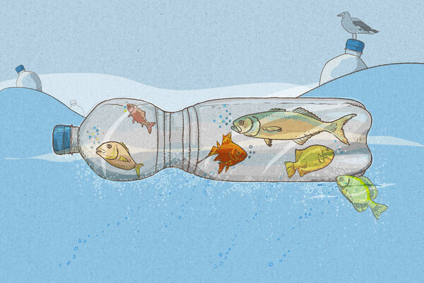 пластиковое загрязнение моря рыбой в бутылках в океане
