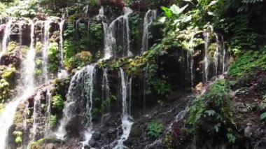 Endonezya 'da güzel bir şelale, Bali Adası. Şelaleye yaklaşan hava kayıtları..