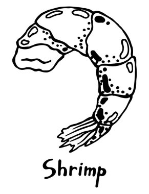 Beyaz zemin üzerinde karides balığı etinin grafik vektör çizimi