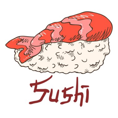 Geleneksel lezzetli suşi nigirzushi pembe karides kuyruklu. Beyaz arkaplandaki yazıyla el çizimi izole edilmiş çizim