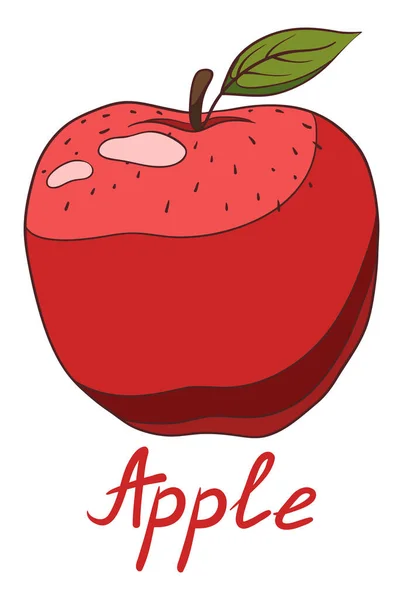 Pomme Mûre Rouge Avec Feuille Verte Illustration Isolée Dessinée Main — Image vectorielle