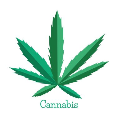 Marihuana yaprağı. Esrar. Kenevir. Bitki. Düz minimalist tasarım. Beyaz arkaplanda izole illüstrasyon. 