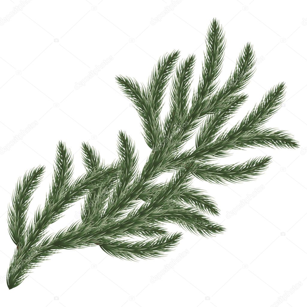 Background Christmas tree branches. Vector illustration. eps 10.