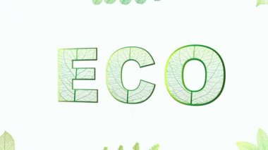 Çevre doğasını koruyun. Plastik ücretsiz. Projeleriniz için modern tasarım. Animasyon.