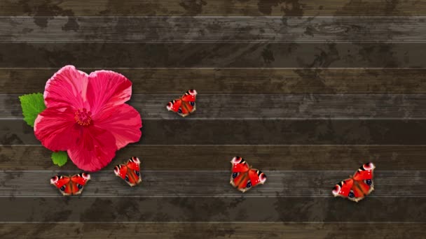 Fondo Con Flor Hibisco Con Mariposas Diseño Moderno Para Proyectos — Vídeos de Stock