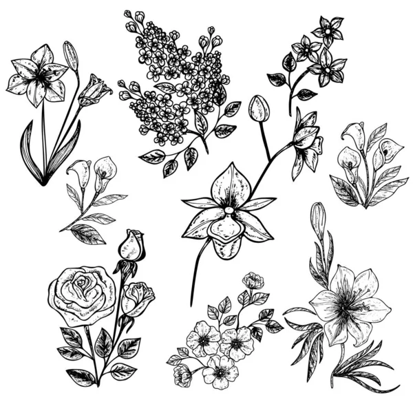 Blumenstrauß Isoliert Auf Weißem Hintergrund Vektor Illustration Folge — Stockvektor