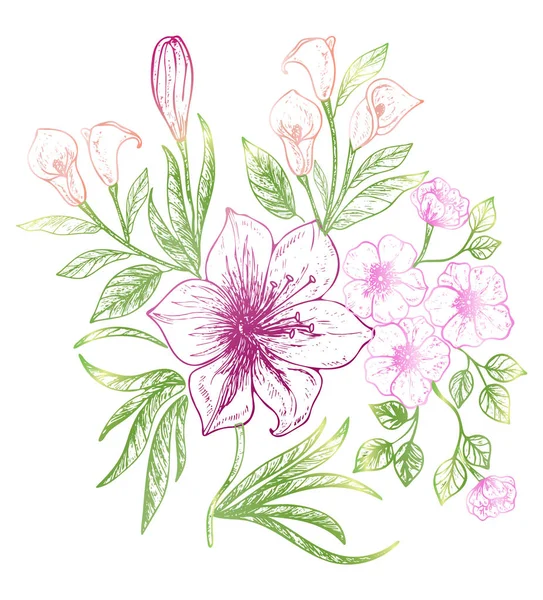 Blumenstrauß Isoliert Auf Weißem Hintergrund Vektor Illustration Folge — Stockvektor