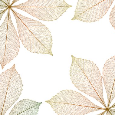 Kestane yaprakları ile güzel arka plan . Vektör illüstrasyon. Eps 10