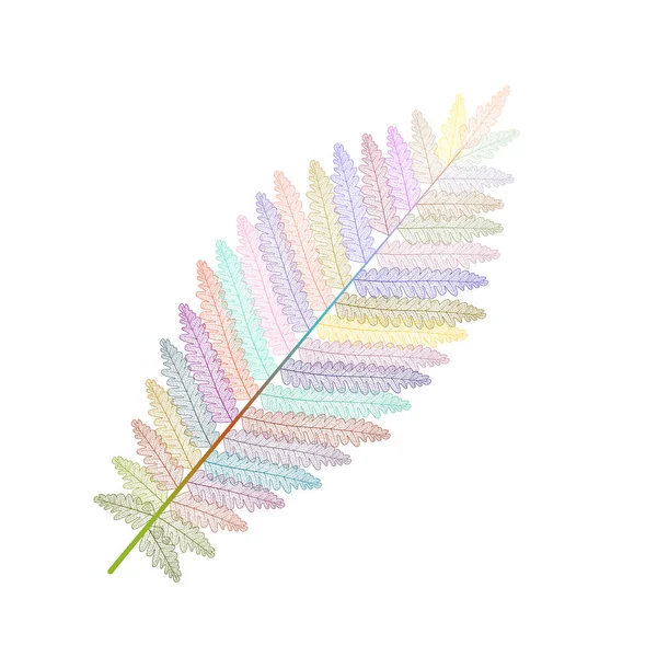 Fougère Feuille Isolée Illustration Vectorielle Spe — Image vectorielle