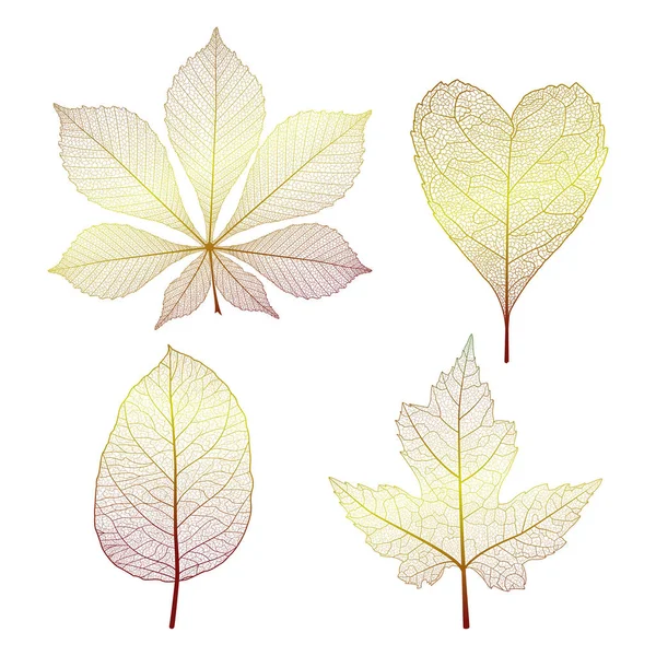 Mettre Les Feuilles Sur Blanc Illustration Vectorielle Spe — Image vectorielle