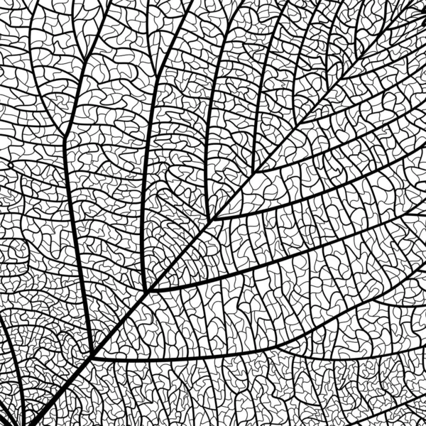 Texture Fond Feuille Illustration Vectorielle Spe — Image vectorielle