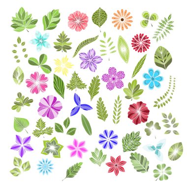 Renkli çiçek ve yaprakları izole kümesi. Vektör illüstrasyon. Eps 10.