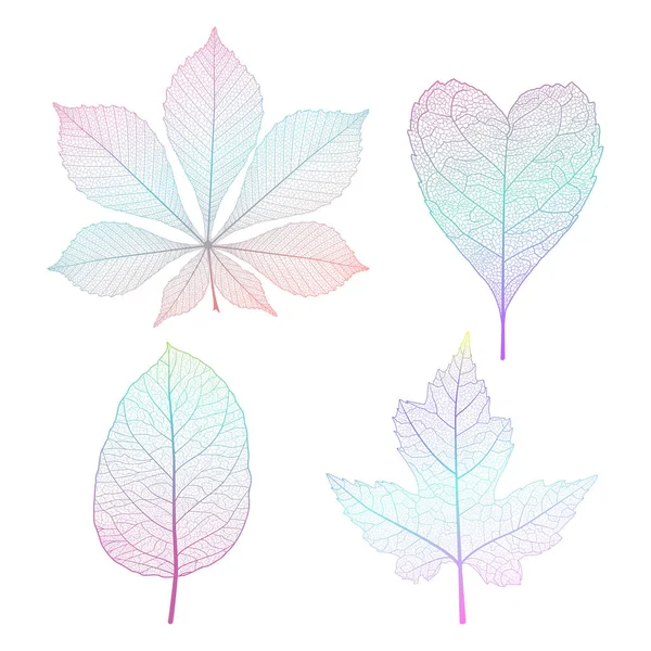 Yaprakları beyaza koy. Vektör çizimi. Eps 10.