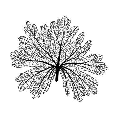 Yaprak izole. Vektör çizim. EPS 10