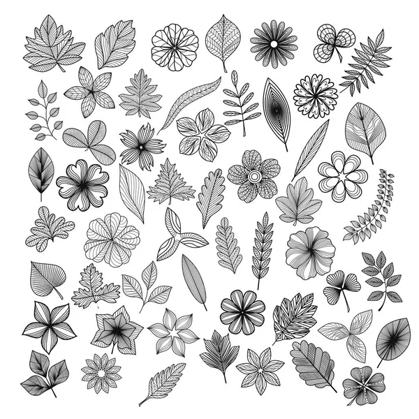 Renkli çiçek ve yaprakları izole kümesi. Vektör illüstrasyon. Eps 10.