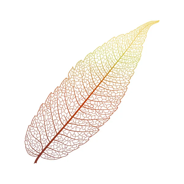 Leaf Isolerade Vektor Illustration Eps — Stock vektor