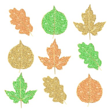 Beyaz renkli sonbahar yaprakları ayarlayın. Vektör illüstrasyon. Eps 10.