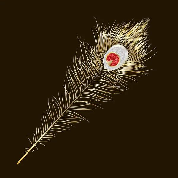 矢量孤立的孔雀羽毛 Eps — 图库矢量图片