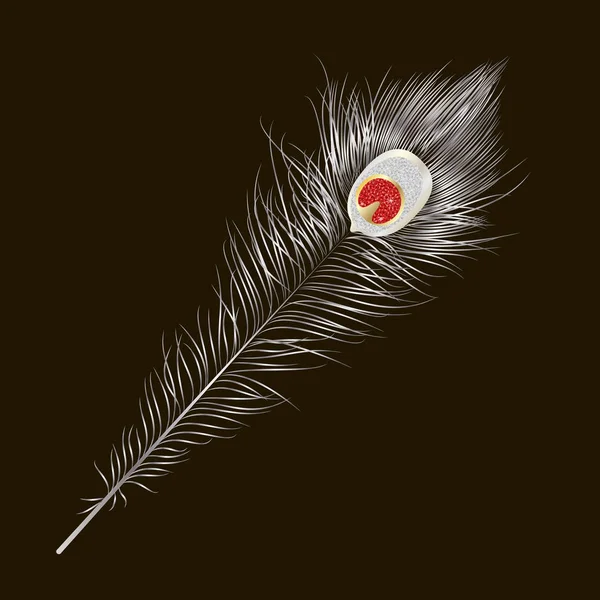 Plume Paon Isolée Vectorielle Spe — Image vectorielle