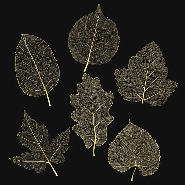 色付きの金色の葉をセット ベクトルイラスト エプス — ストックベクタ