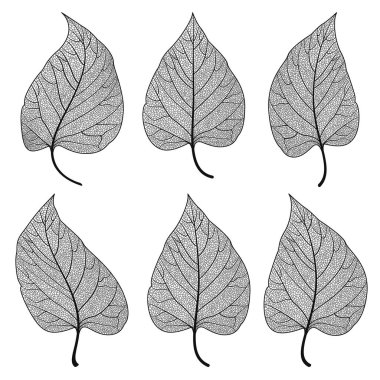 Yaprakları siyah beyaz olarak ayarlayın. Vektör çizim. EPS 10.