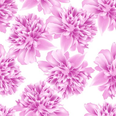 Çeviri: nazo82 Shagrathian