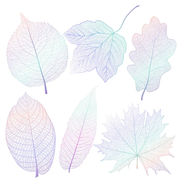 Mettre Les Feuilles Colorées Sur Blanc Illustration Vectorielle Spe — Image vectorielle