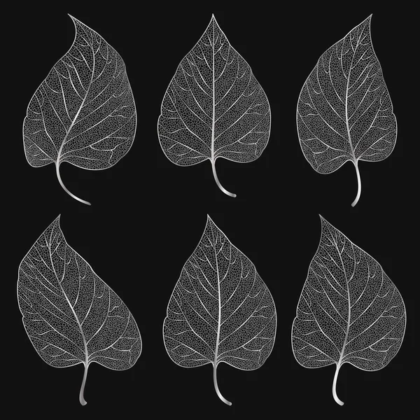 Set Colored Silver Leaves Vector Illustration Eps — Stock Vector