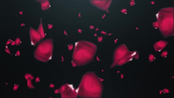 Pétalos de rosas cayendo sobre un fondo negro — Vídeos de Stock