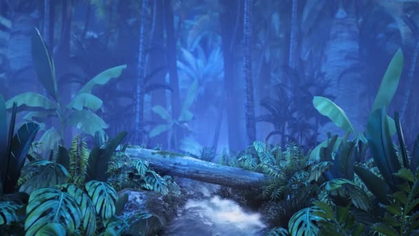 小川と 夜熱帯ジャングル — ストック動画