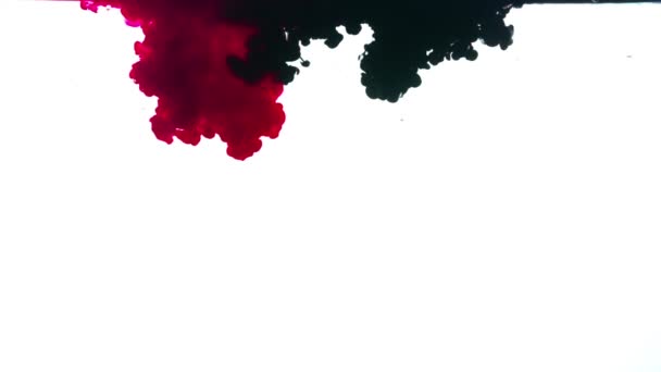 Encre rouge et noire sur fond blanc — Video