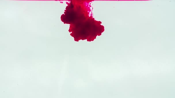高清的白色背景上的红色墨水 — 图库视频影像