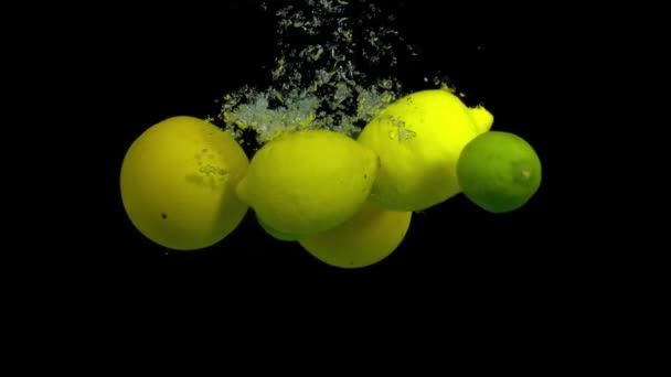 Цитрусовые фрукты в брызгах воды на черном фоне — стоковое видео
