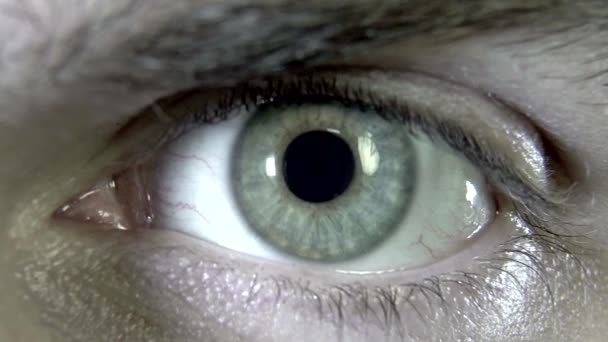拡張された瞳孔マクロ計画 — ストック動画