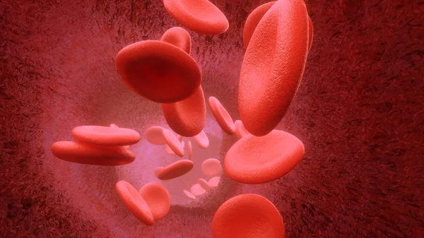 3d render Blood cells flying through arteries on white background Stock ...
