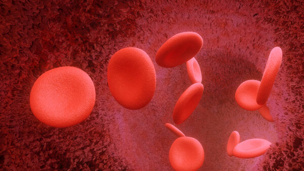 3d render Blood cells flying through arteries or viens
