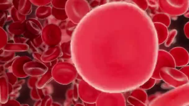 Клетки крови пролетают через артерии — стоковое видео