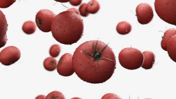 3d render La caída de tomates con gotas de agua sobre un fondo blanco — Foto de Stock