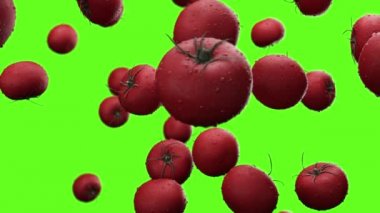 Yeşil bir arka plan üzerinde su damlaları ile düşen domates