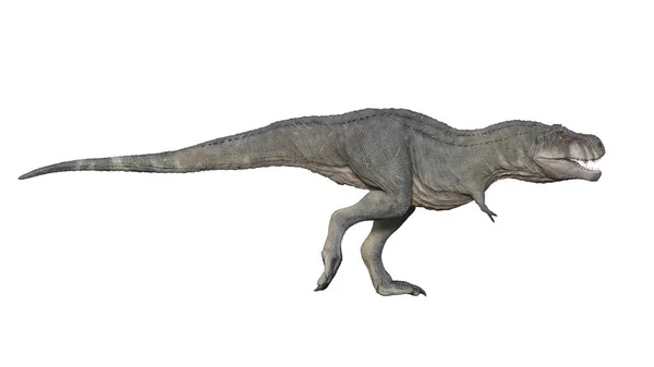 3D Render Tyrannosaurus Rex na białym tle — Zdjęcie stockowe