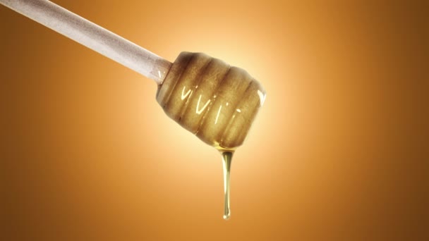 Miel goteando de cazo de miel sobre fondo naranja — Vídeos de Stock