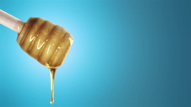 ブルーの背景に蜂蜜ディッパーから滴る蜂蜜 — ストック動画