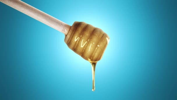 Miel goteando de cazo de miel sobre fondo blu — Vídeo de stock