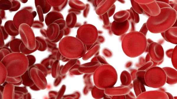3D rendern Blutzellen, die durch Arterien auf weißem Hintergrund fliegen — Stockfoto