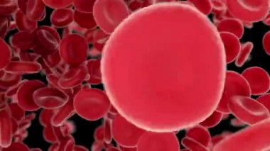 Siyah arka plan üzerinde arterler arasında uçan kan hücreleri