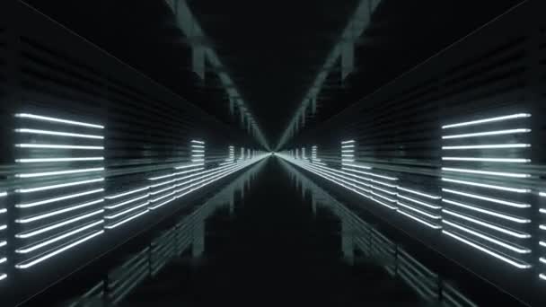 Looping-Tunnel mit Neon-Equalizer — Stockvideo