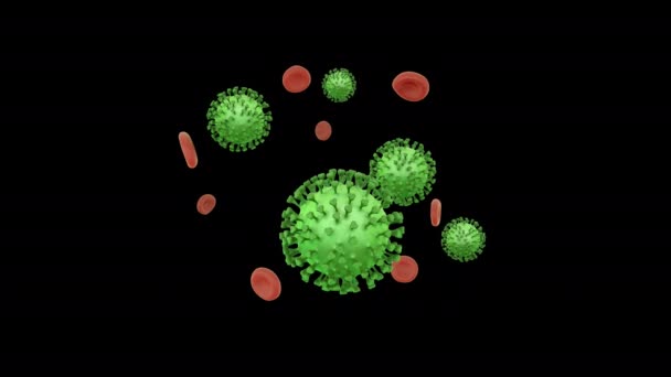 Létající krevní buňky s koronavirem s alfa kanálem — Stock video