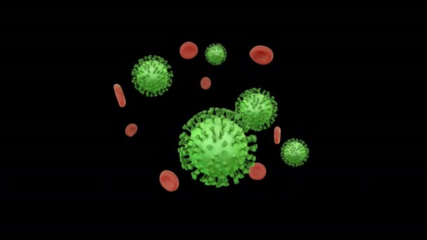 알파 채널을 가진 코로나 바이러스를 가진 비행하는 혈구 — 비디오