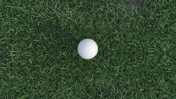 ゴルフクラブは超スローモーションでゴルフボールを打つ — ストック動画
